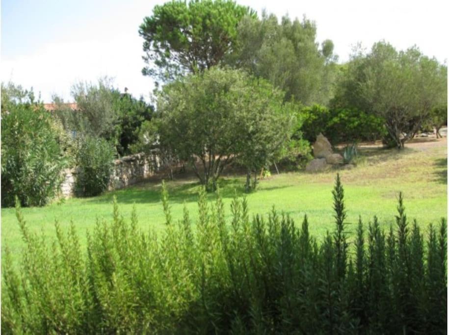 Villa Sara 올비아 외부 사진